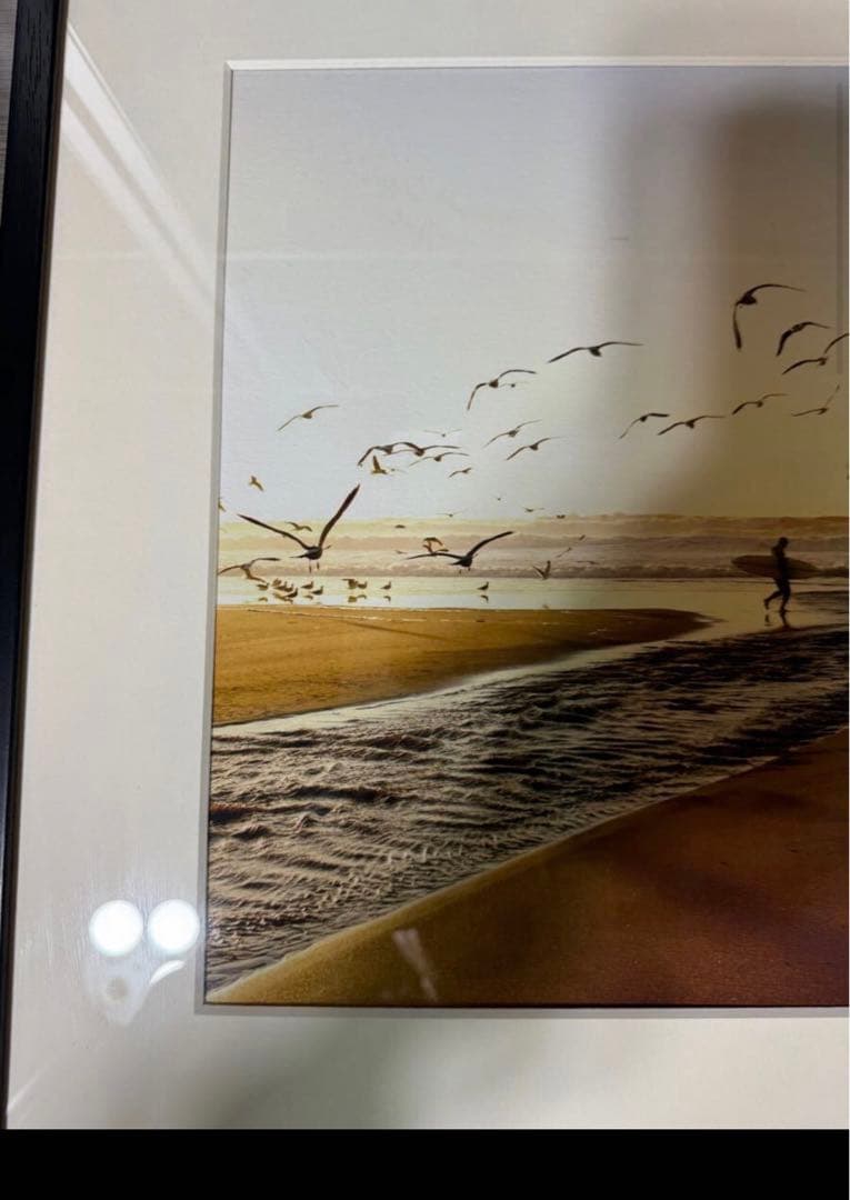 希少廃番　wtw モーガン　マッセン　フォトフレーム　BIRD モーガンマッセン