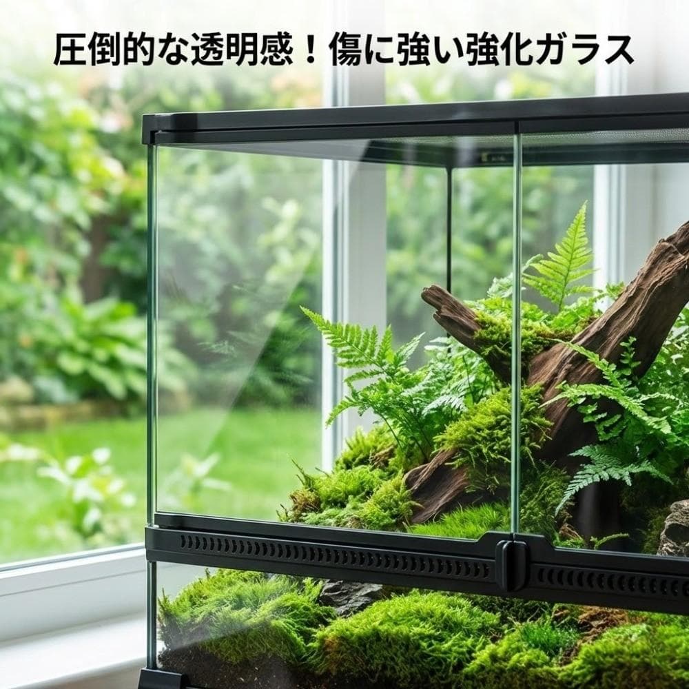 爬虫類ケージ50cmガラス製前面開閉テラリウム水槽飼育ケース爬虫類両生類トカゲ