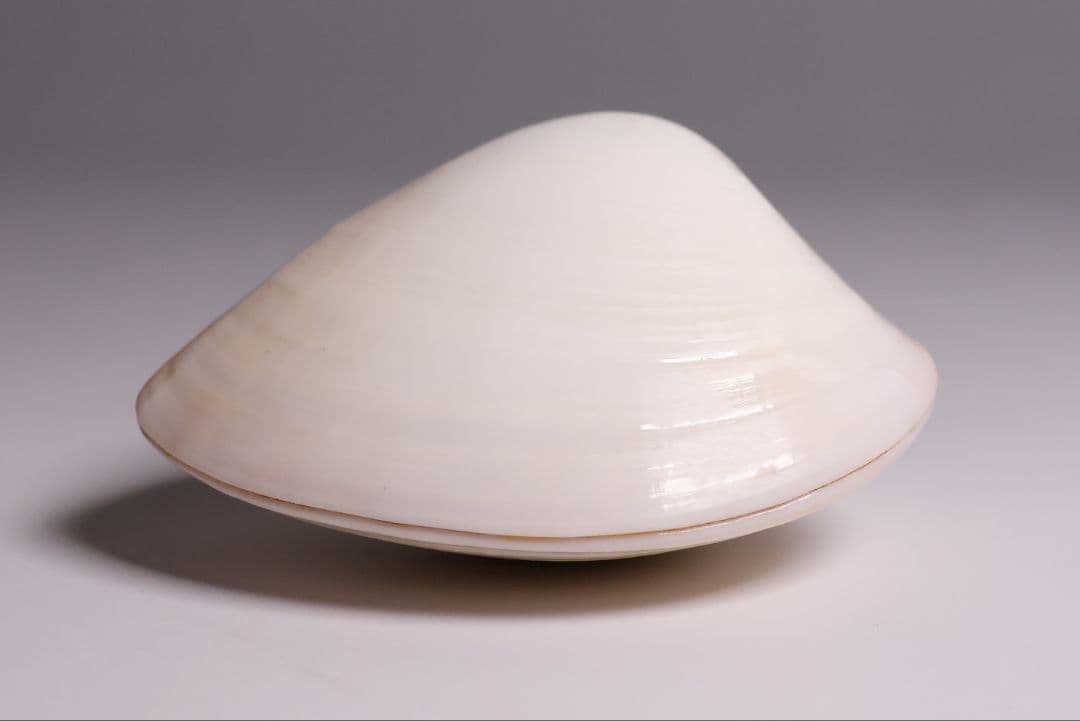 貝合せ 池坊専好立花図 四十五世 池坊専永 箱書 香合 華道 金彩【MA908】